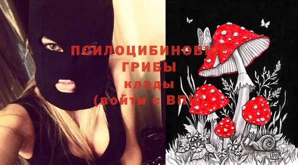 хмурый Абинск