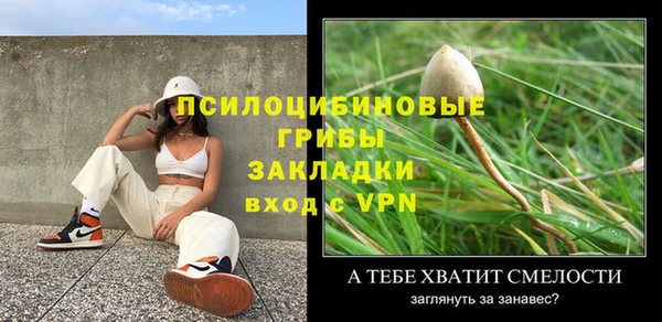 гидропоника Абаза